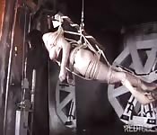 Shibari alla francese